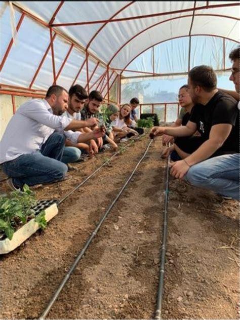 Bahçe Tarımı Adım Adım: Başlangıç Kılavuzu