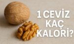 1 ceviz kac kalori