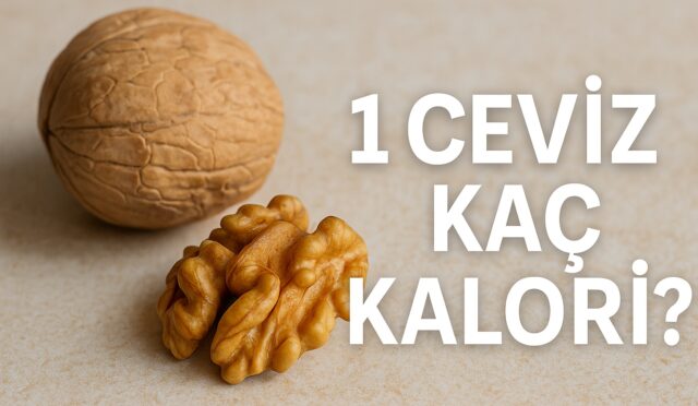 1 ceviz kac kalori