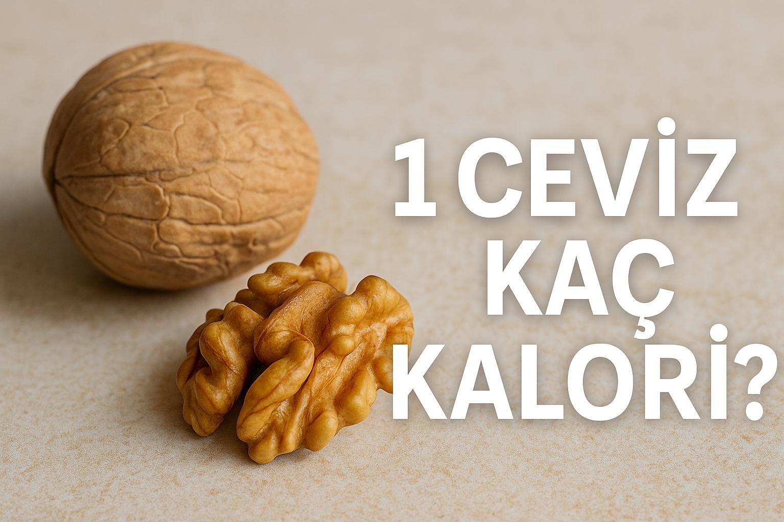 1 Ceviz Kaç Kalori?