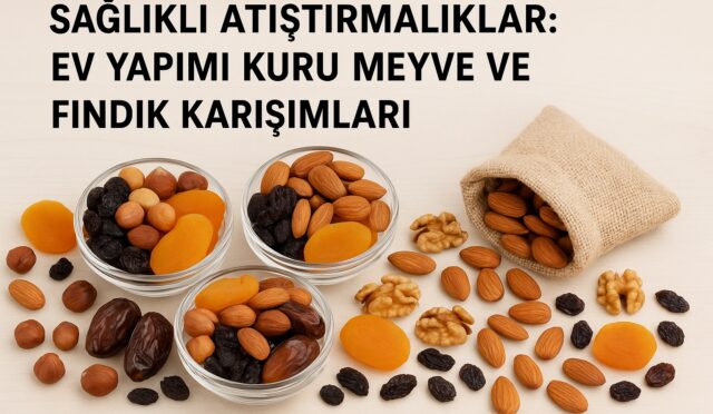 saglikli atistirmaliklar ev yapimi kuru meyve ve findik karisimlari