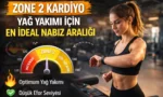Zone 2 Kardiyo: Yağ Yakımı İçin En İdeal Nabız Aralığı